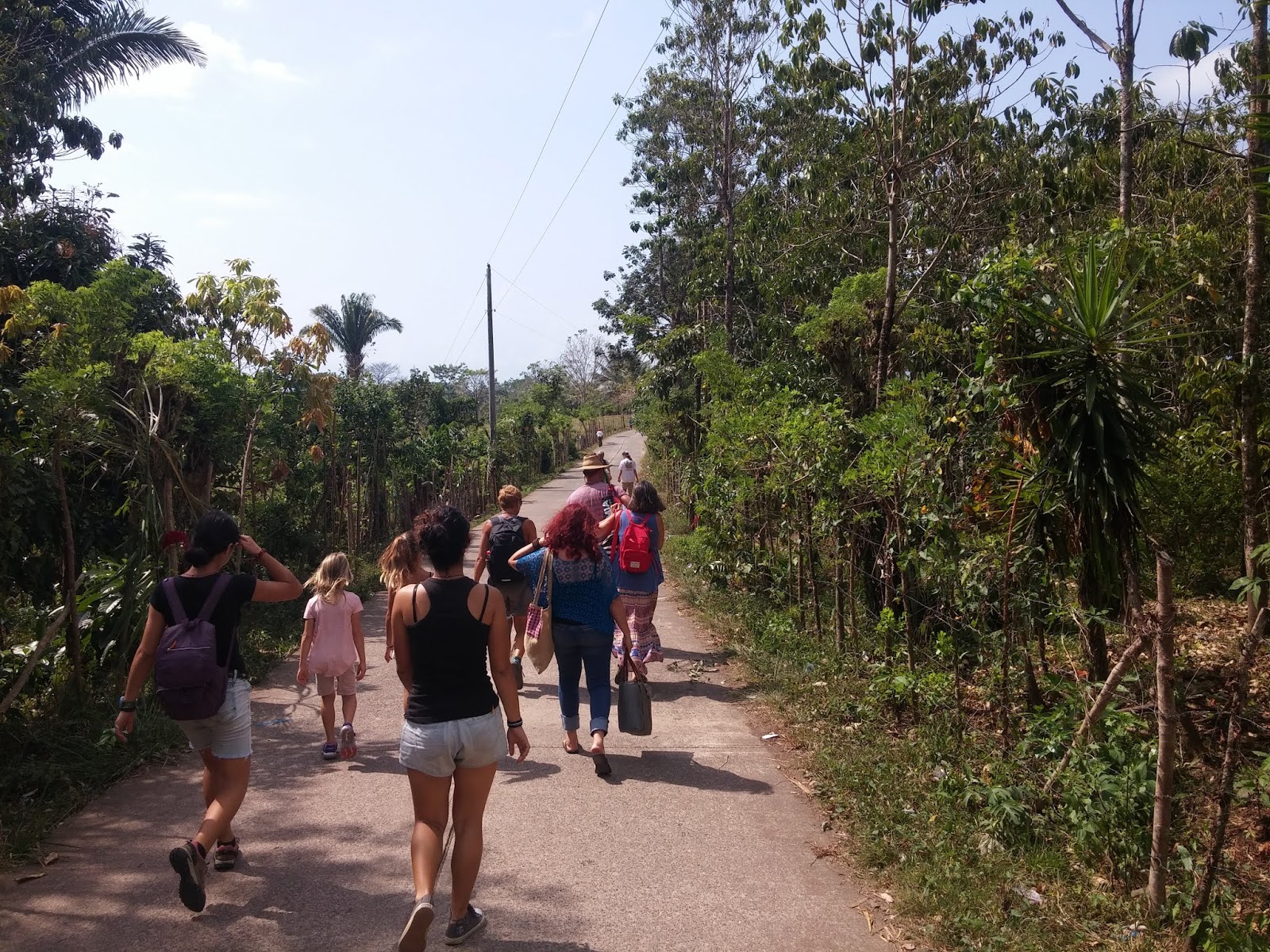 בית המים הכחולים Casa Agua Azul